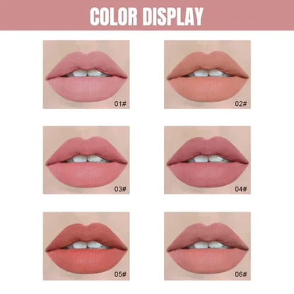 Dragon Ranee 6 Pieces Velvet Matte Pink Lipstick Set