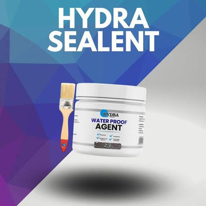 Hydra Waterproof Agent | Super Strong Invisible Waterproof Anti-leakage Agent | Instant Repair Waterproof Anti-leakage Agent – 300gm With Brush